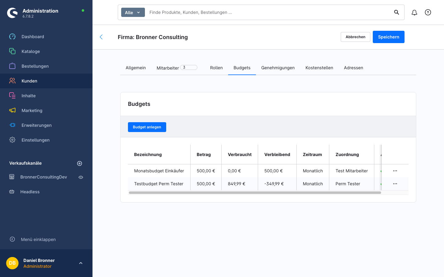Firmendetail – Tab Budgets